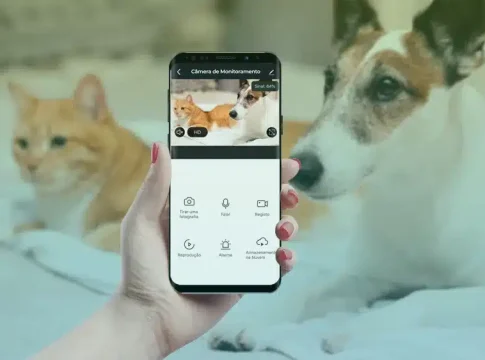 Aplicativos para monitorar seu animal