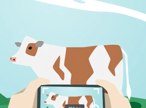 Aplicativos para pesar animais pelo celular