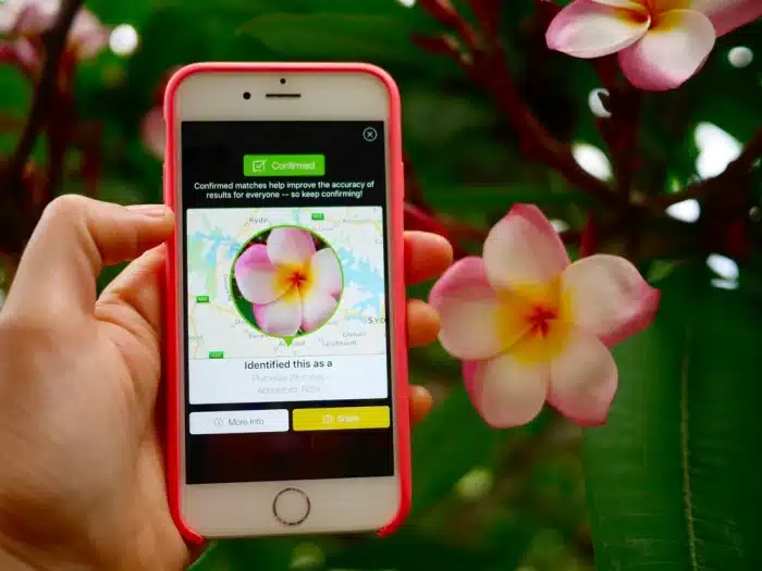 Applications pour identifier les plantes et les fleurs