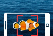Discover the Best Fishing Apps: Find Fish with Your Cell Phone!