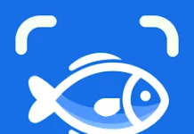 Os melhores aplicativos para detectar peixes em tempo real 2025