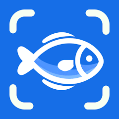 The best apps to detect fish in real time 2025